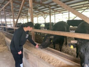 黒毛和牛を飼育している会社の方